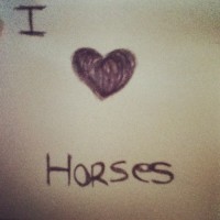 /album/fenykepgaleria/large-24-jpg/